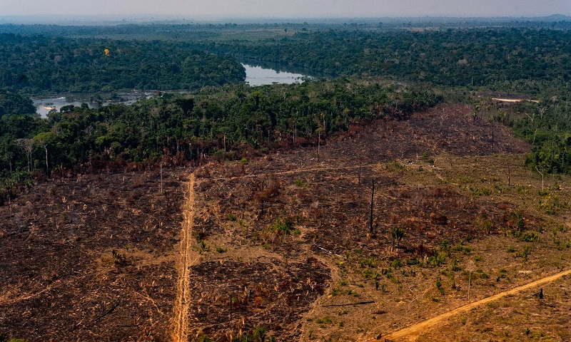 degradação da floresta amazonica